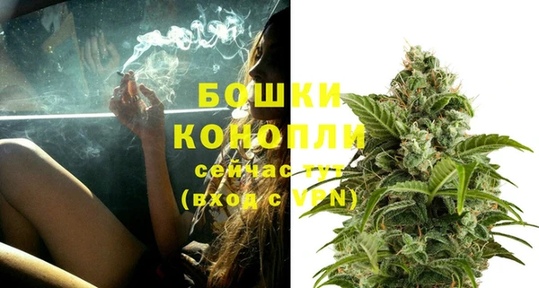мяу мяу кристалл Богданович