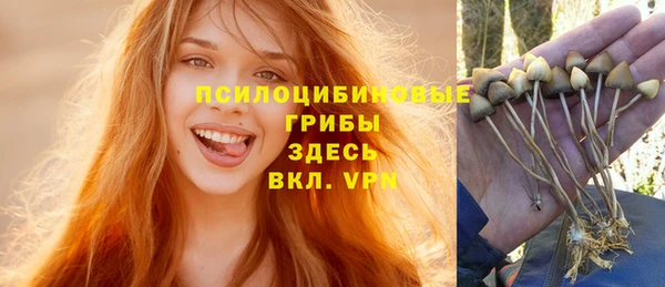 мяу мяу кристалл Богданович