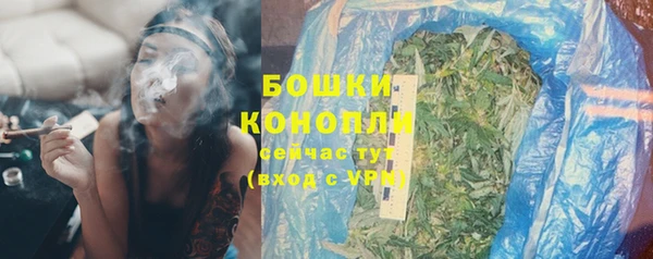 мяу мяу кристалл Богданович